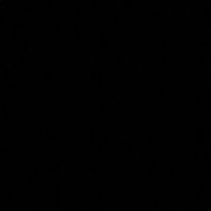 Meet your Posher, Alexcis